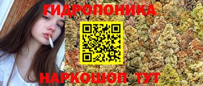spice Кимры