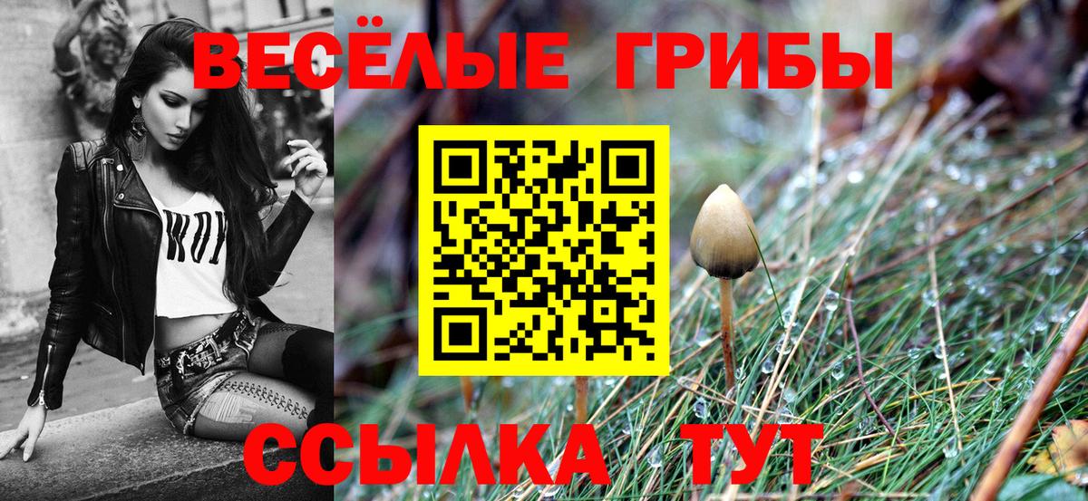 Галлюциногенные грибы Psilocybe  Вход с VPN  купить закладку  Южно-Сахалинск  Галлюциногенные грибы GOLDEN TEACHER 